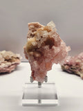 Specimen No. 019