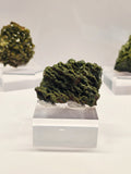 Specimen No. 052