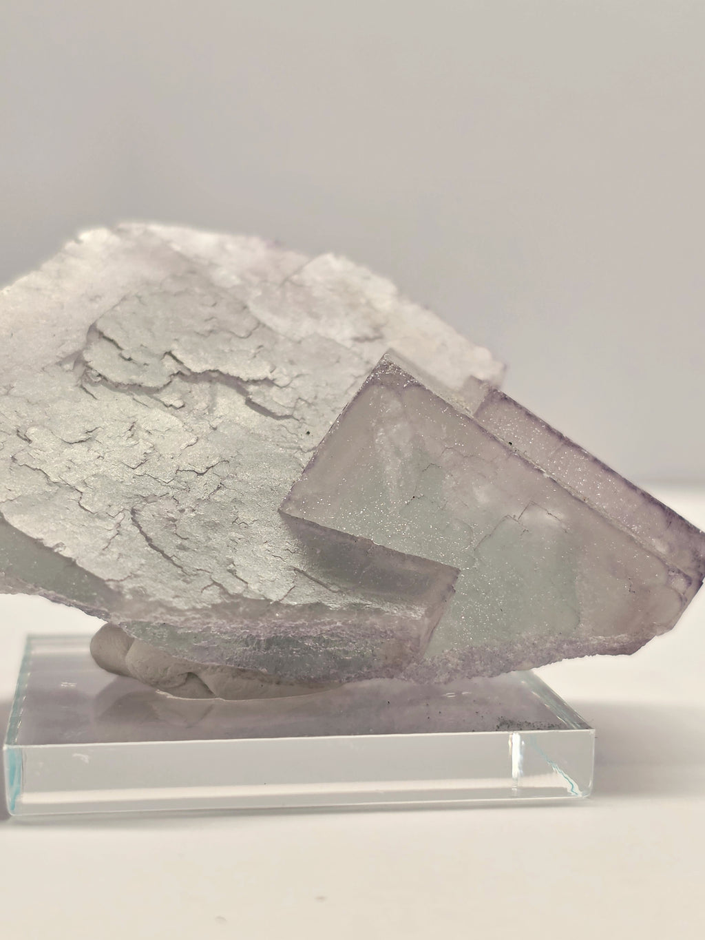 Specimen No. 172