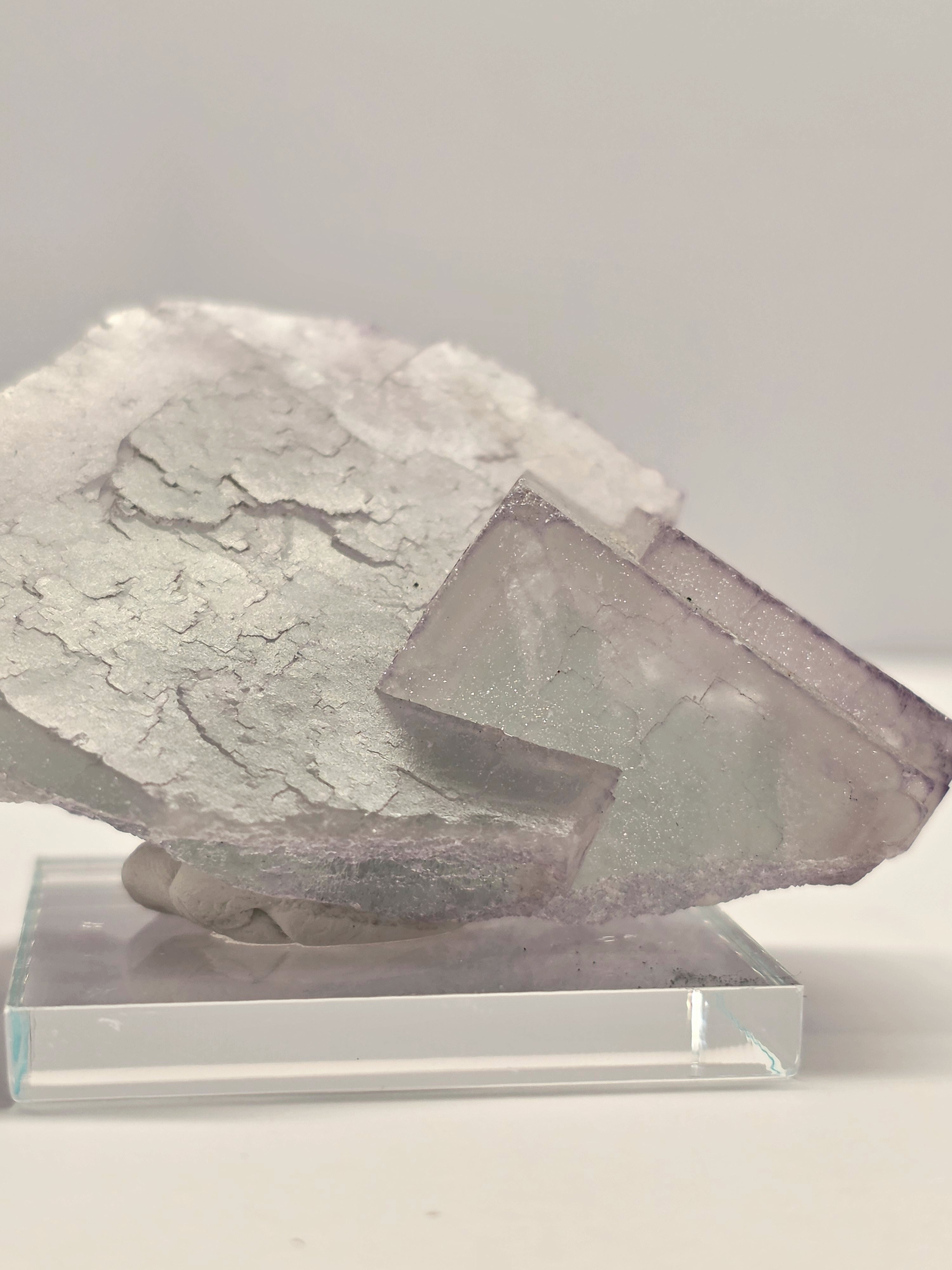 Specimen No. 172