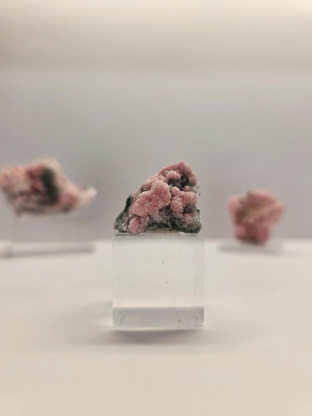 Specimen No. 148