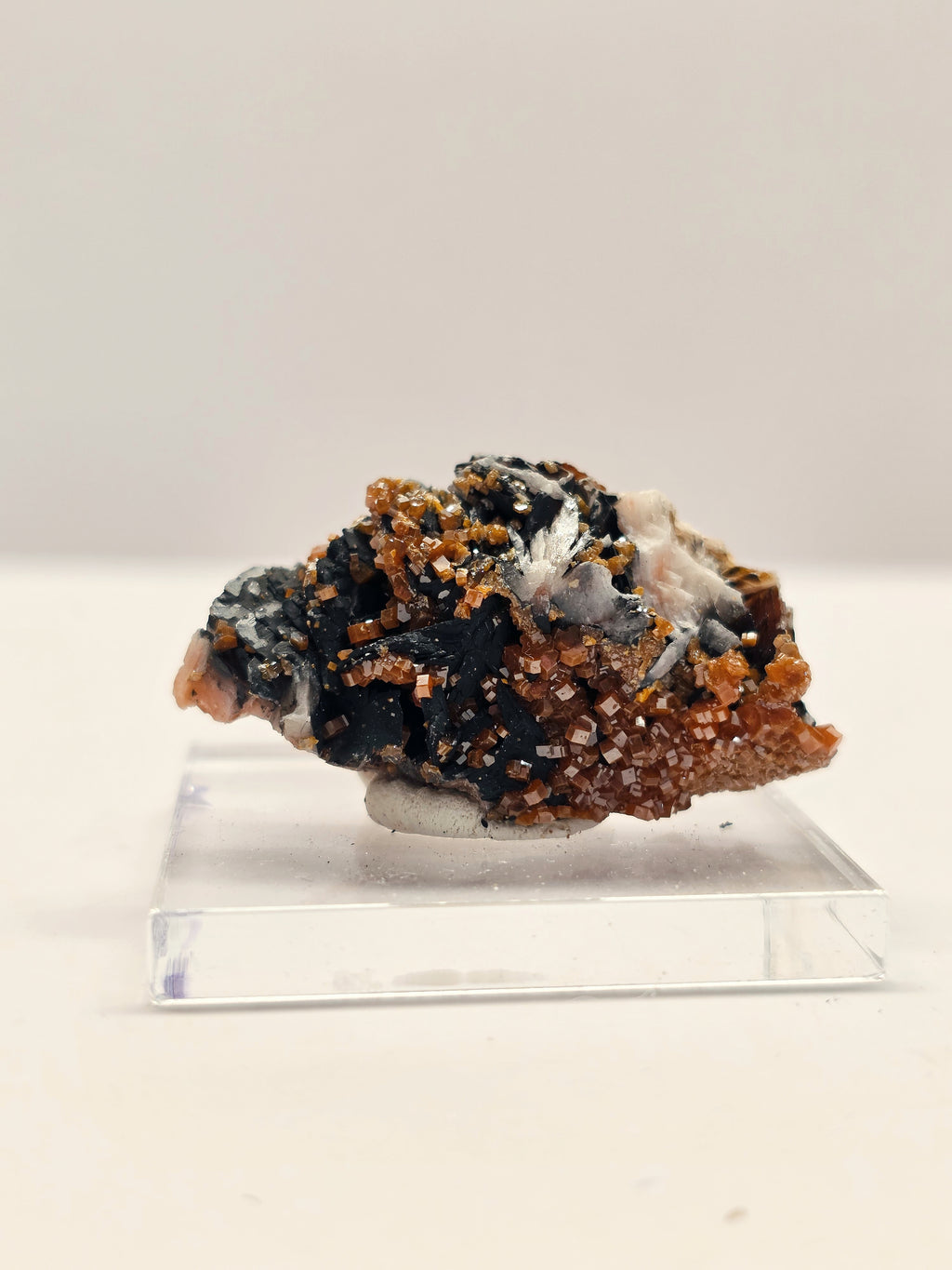 Specimen No. 206