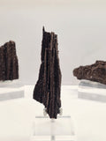 Specimen No. 064