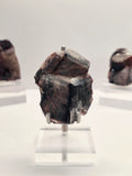 Specimen No. 073