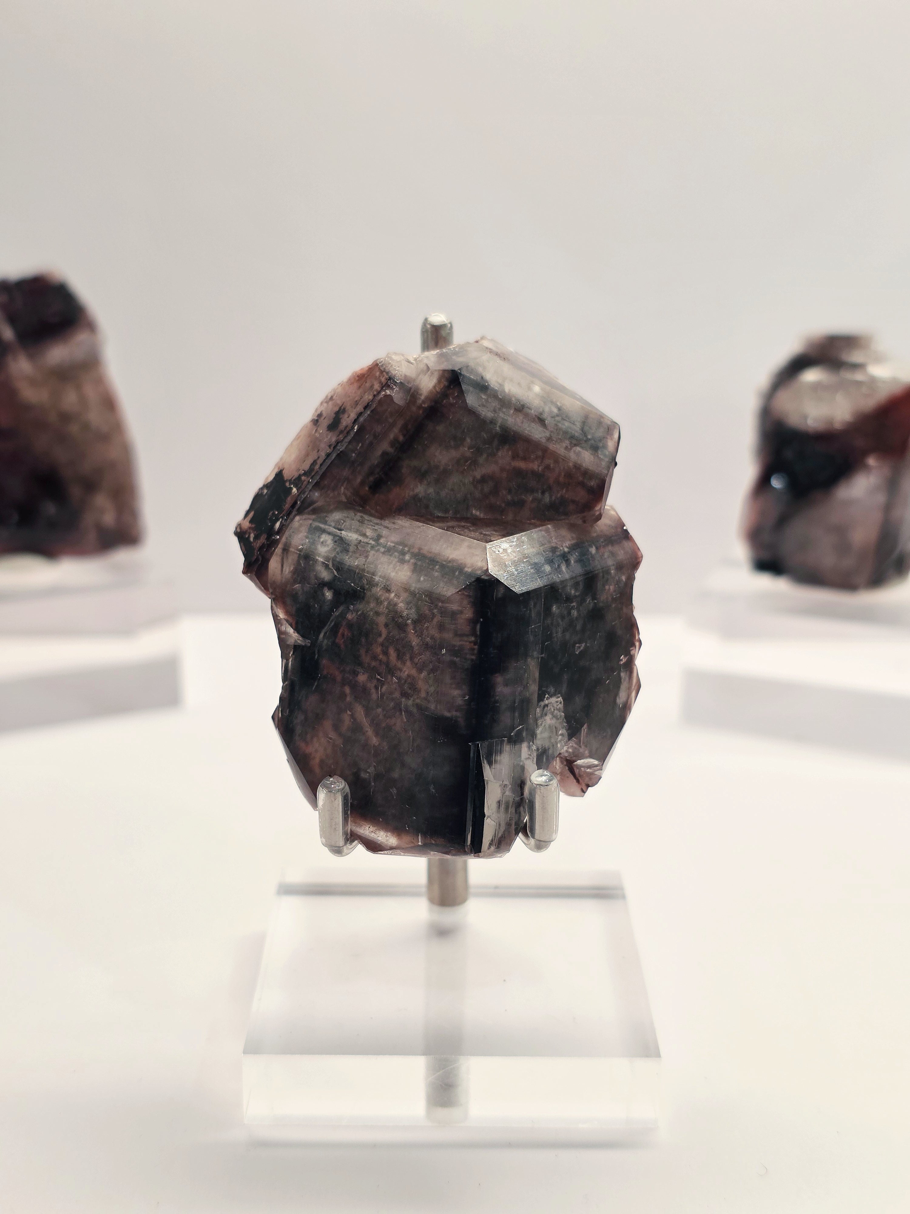 Specimen No. 073