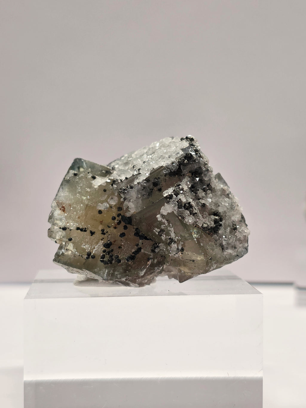 Specimen No. 021