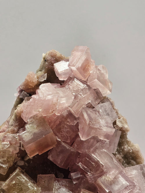 Specimen No. 018