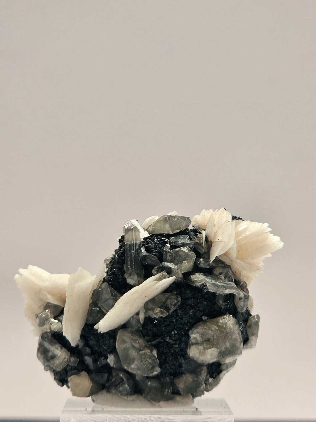 Specimen No. 037