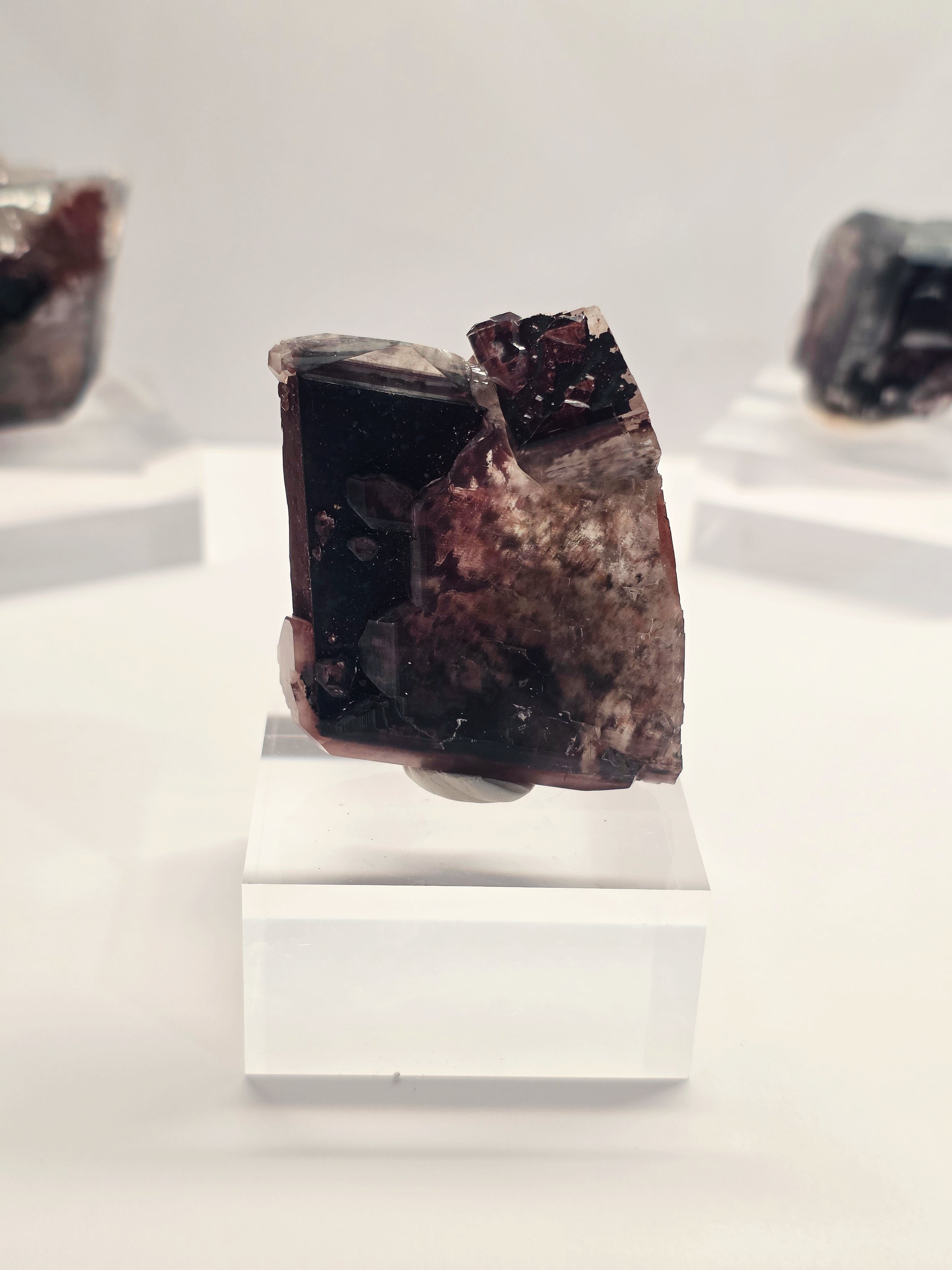 Specimen No. 082