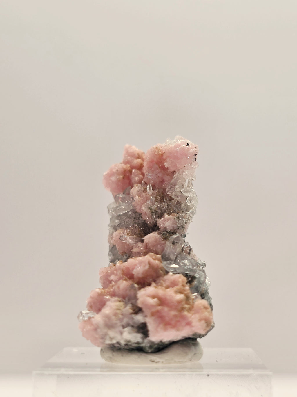 Specimen No. 144