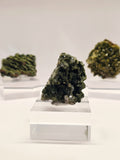 Specimen No. 051