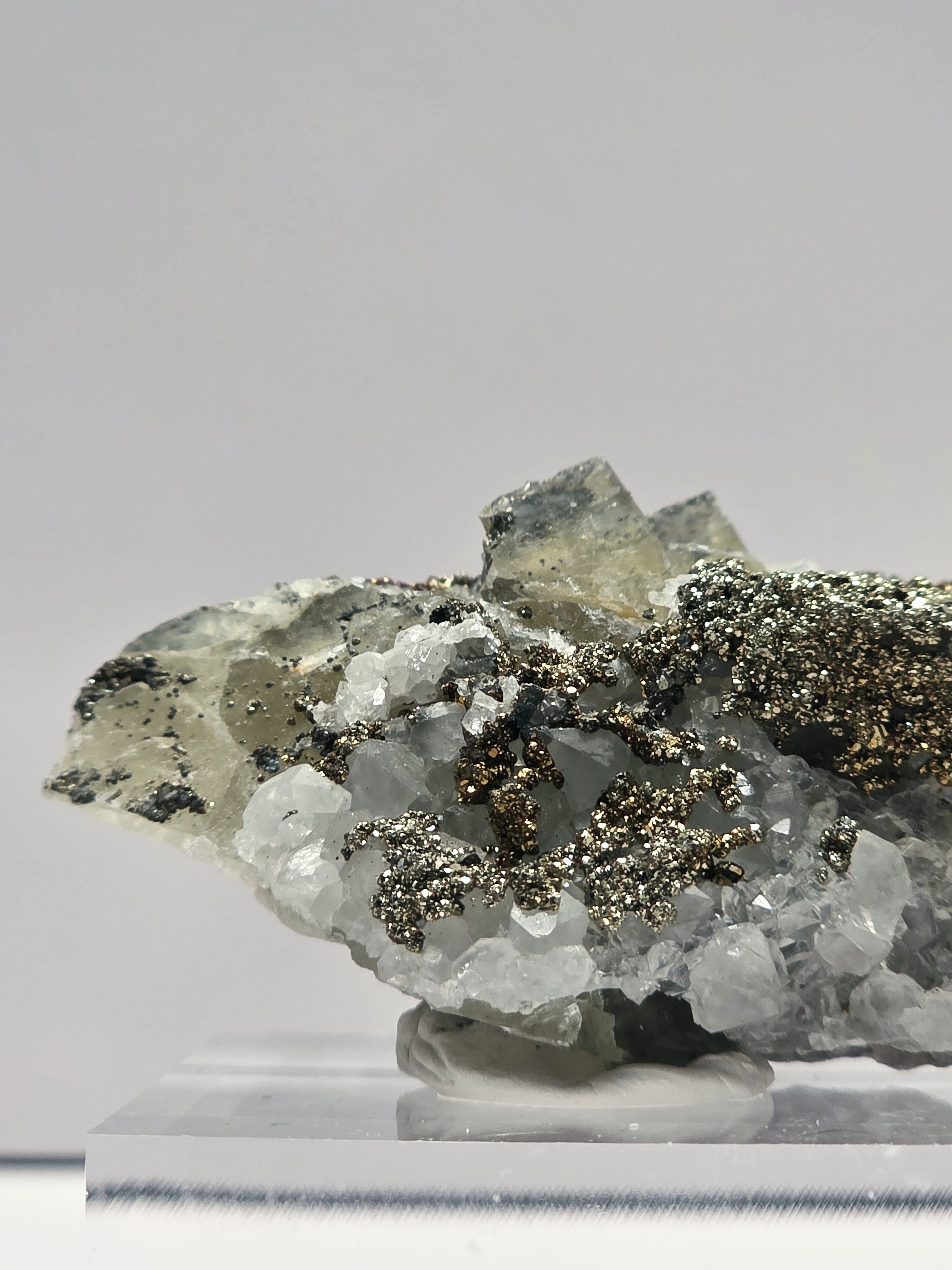 Specimen No. 030