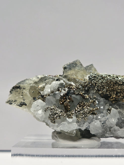 Specimen No. 030
