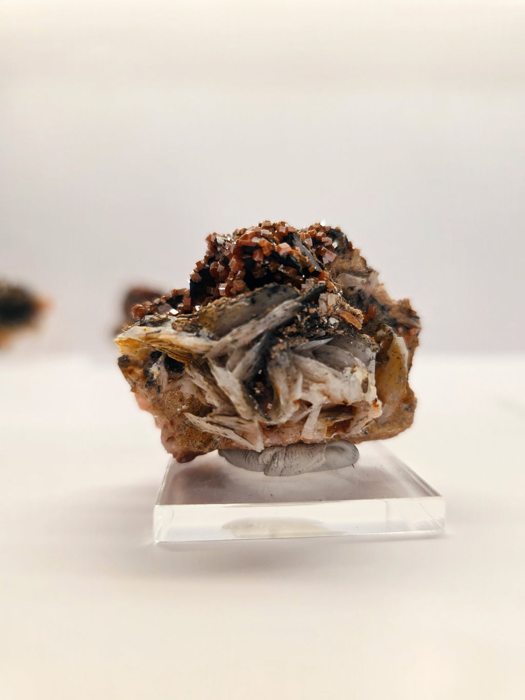 Specimen No. 208