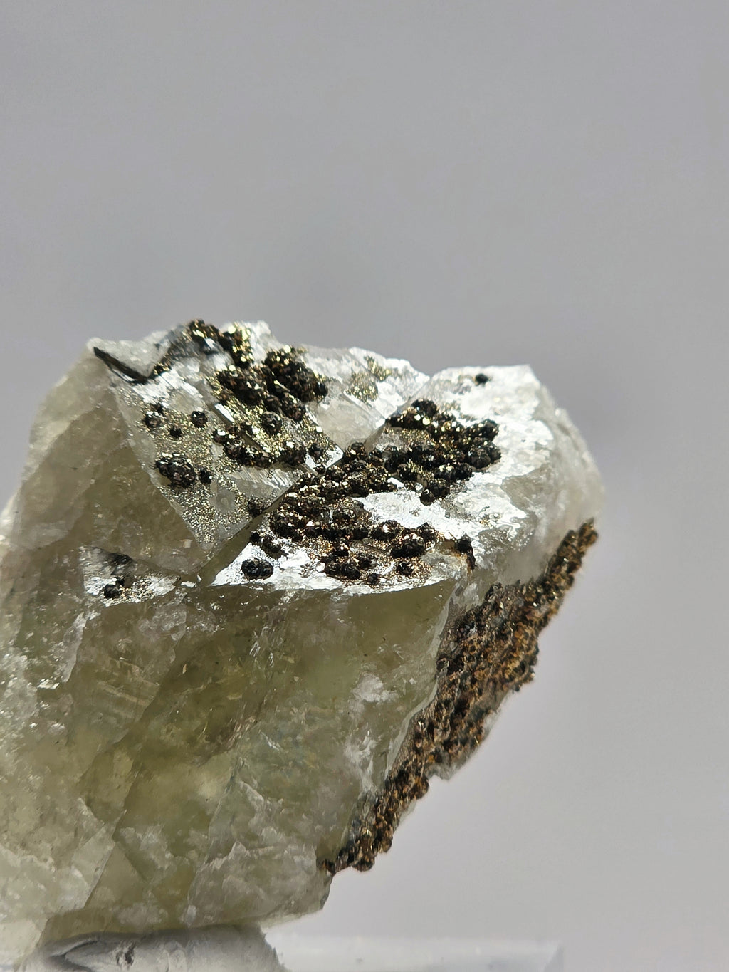 Specimen No. 022