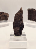 Specimen No. 068