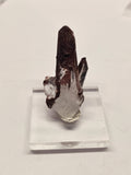 Specimen No. 227