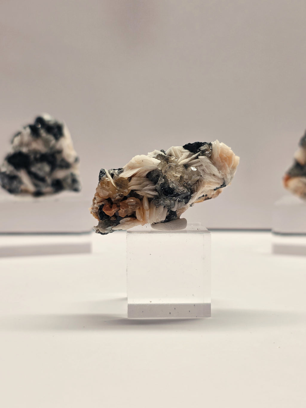 Specimen No. 035