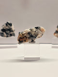 Specimen No. 035