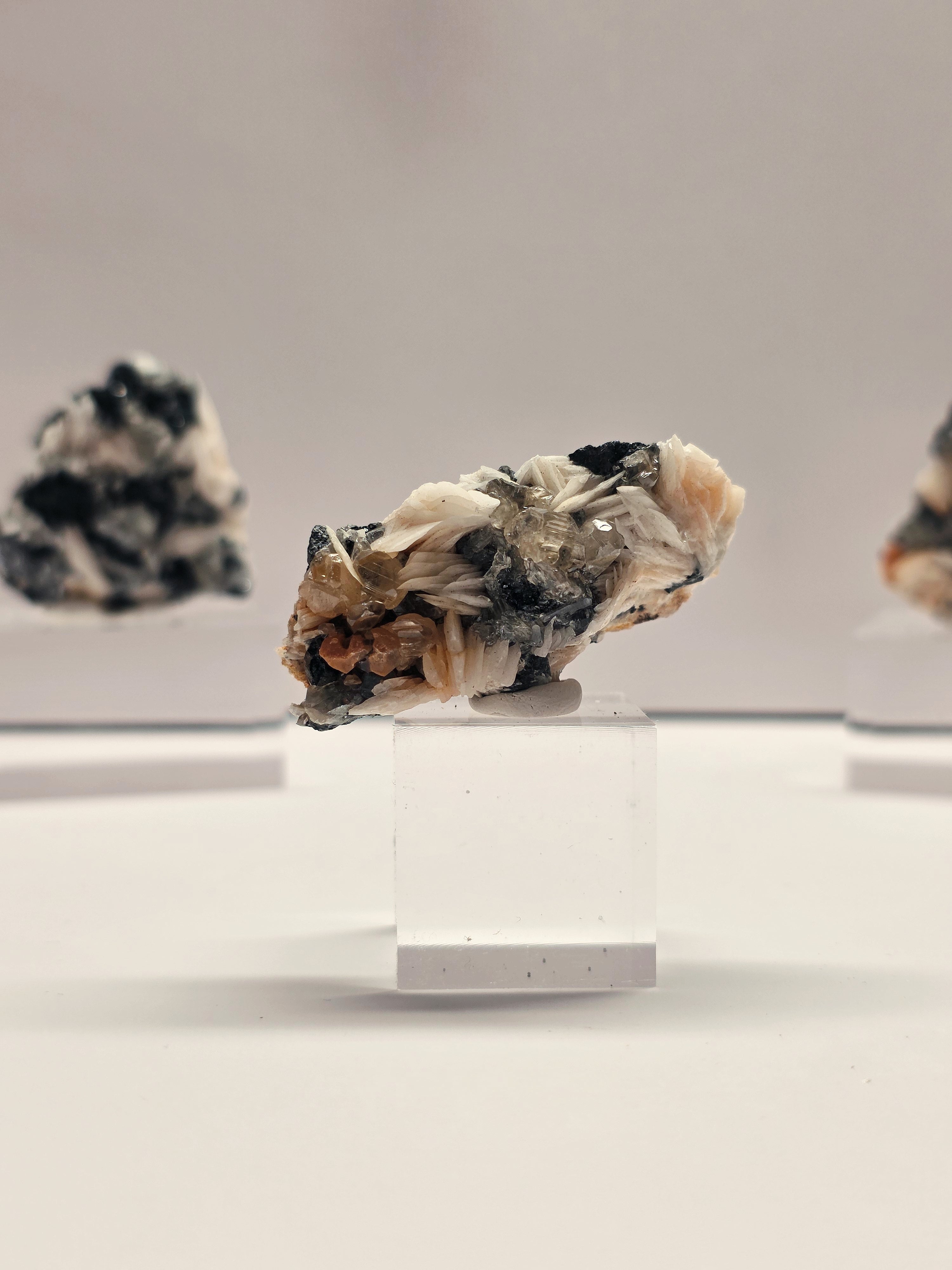 Specimen No. 035