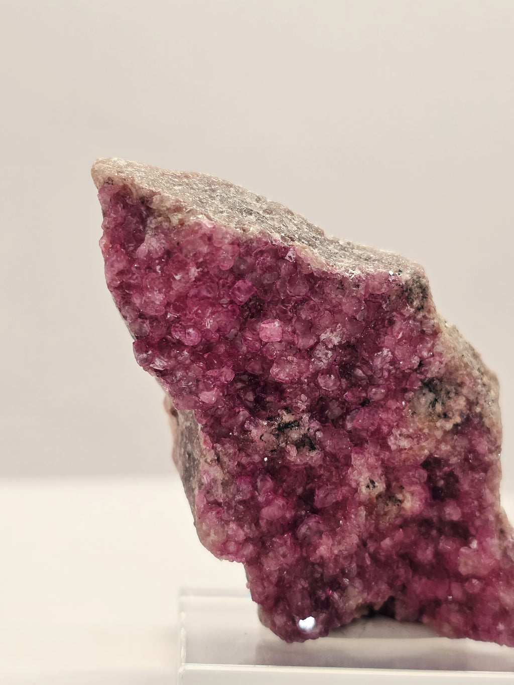 Specimen No. 156
