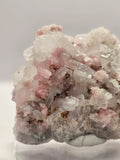 Specimen No. 141