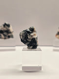 Specimen No. 033