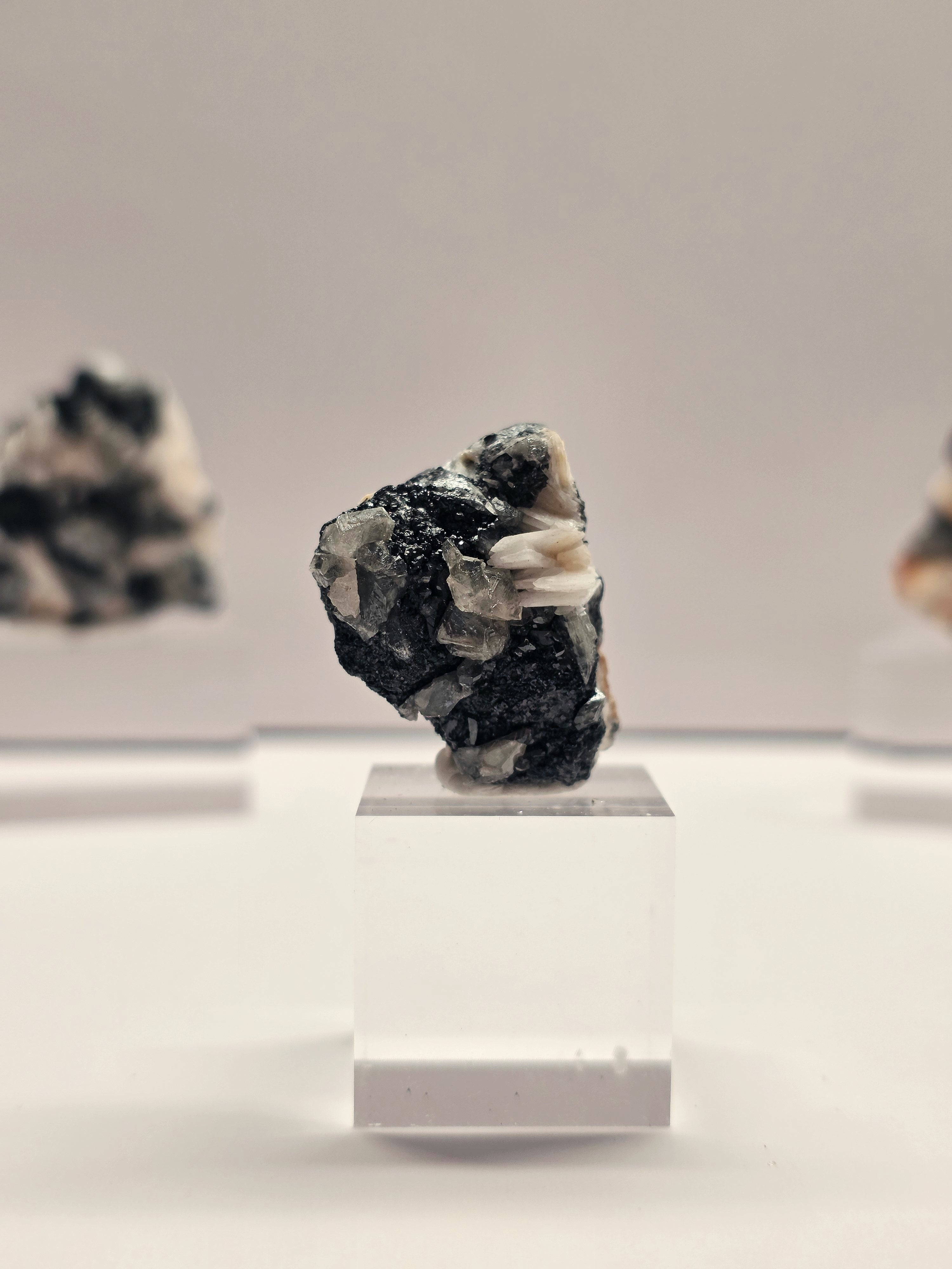 Specimen No. 033