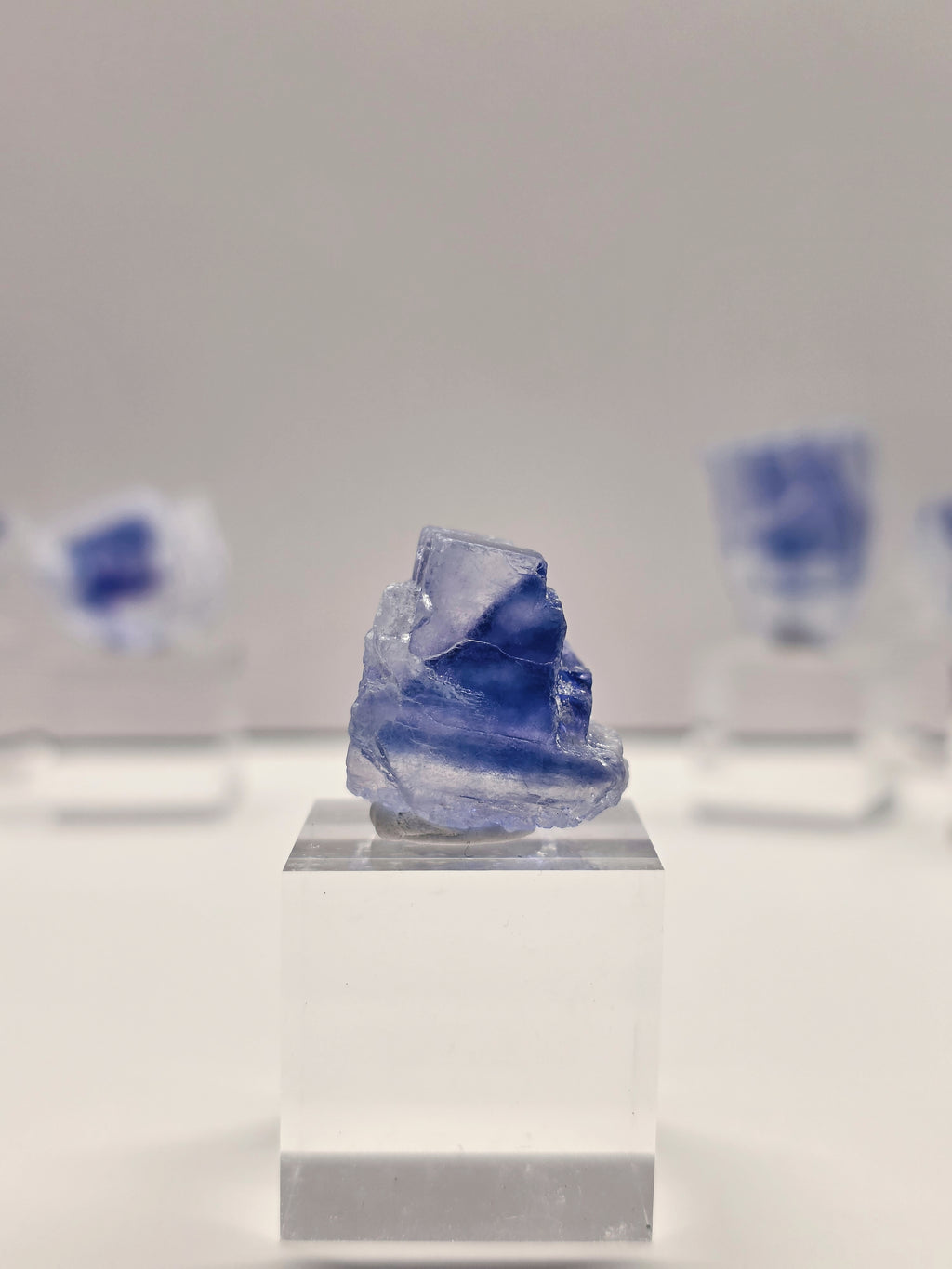 Specimen No. 001