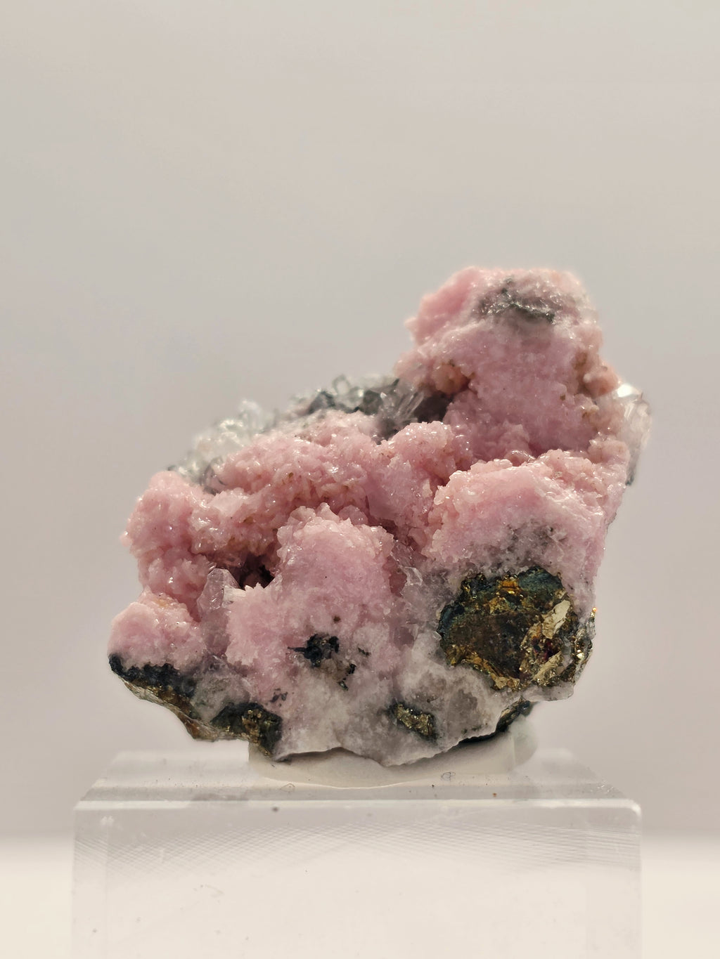 Specimen No. 146