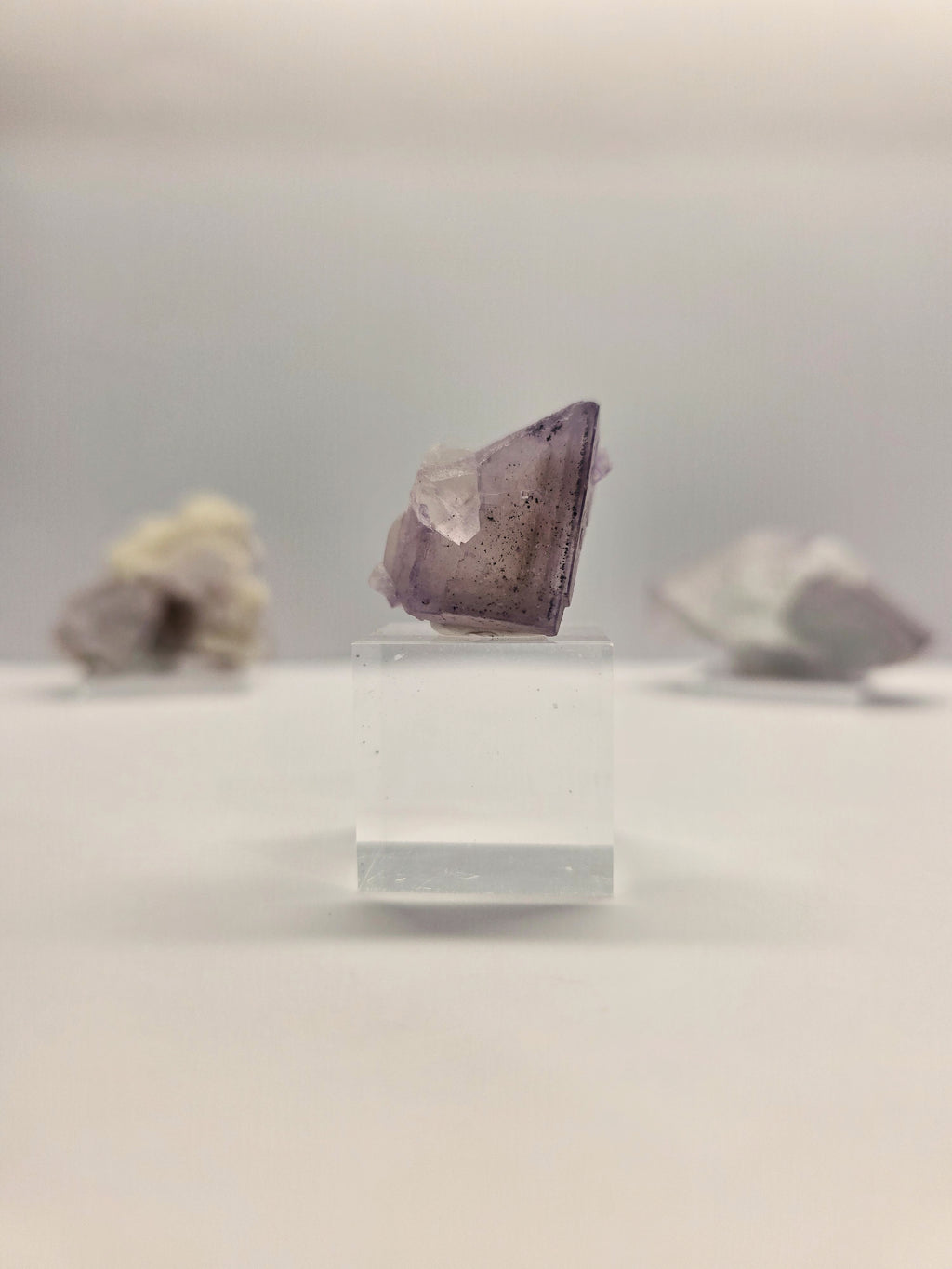 Specimen No. 174
