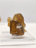 Specimen No. 204