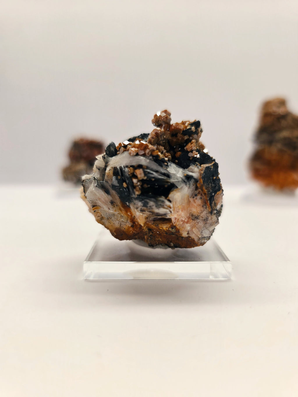 Specimen No. 211