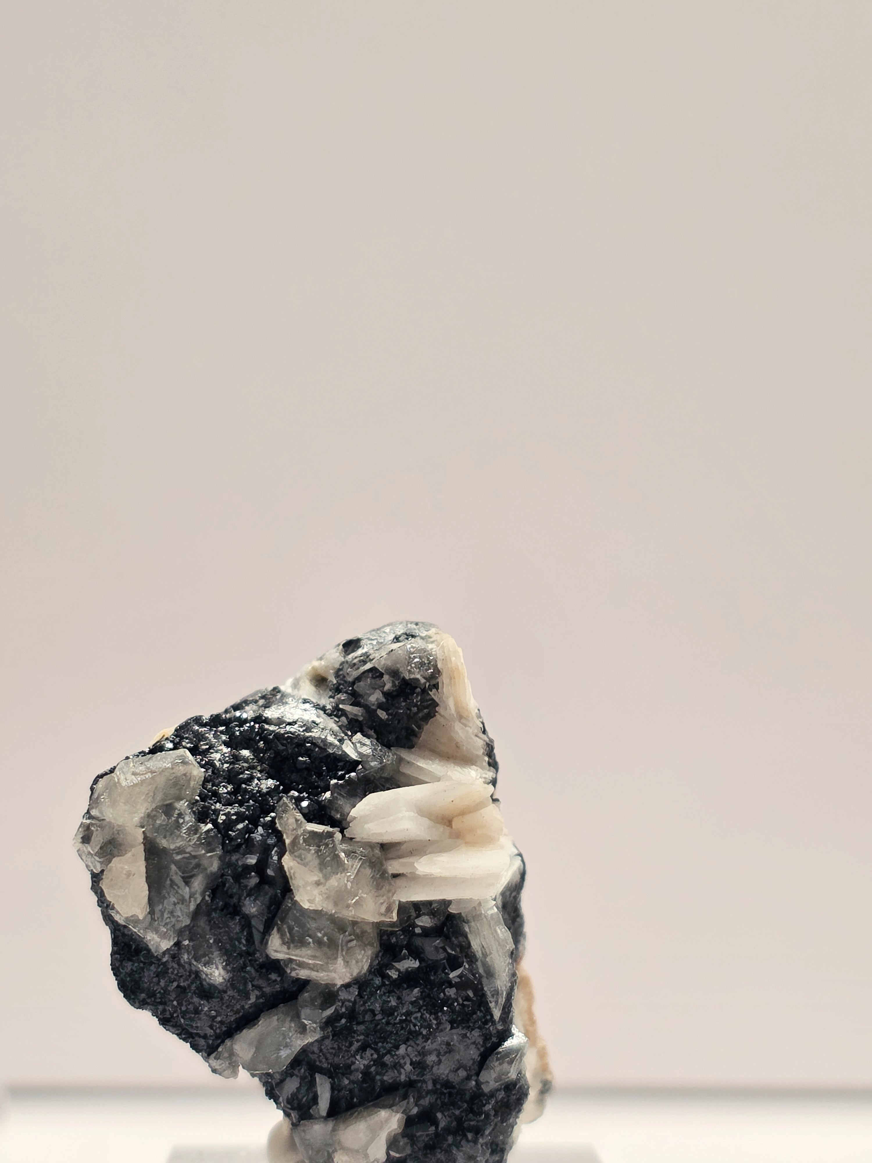 Specimen No. 033