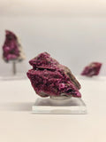 Specimen No. 160