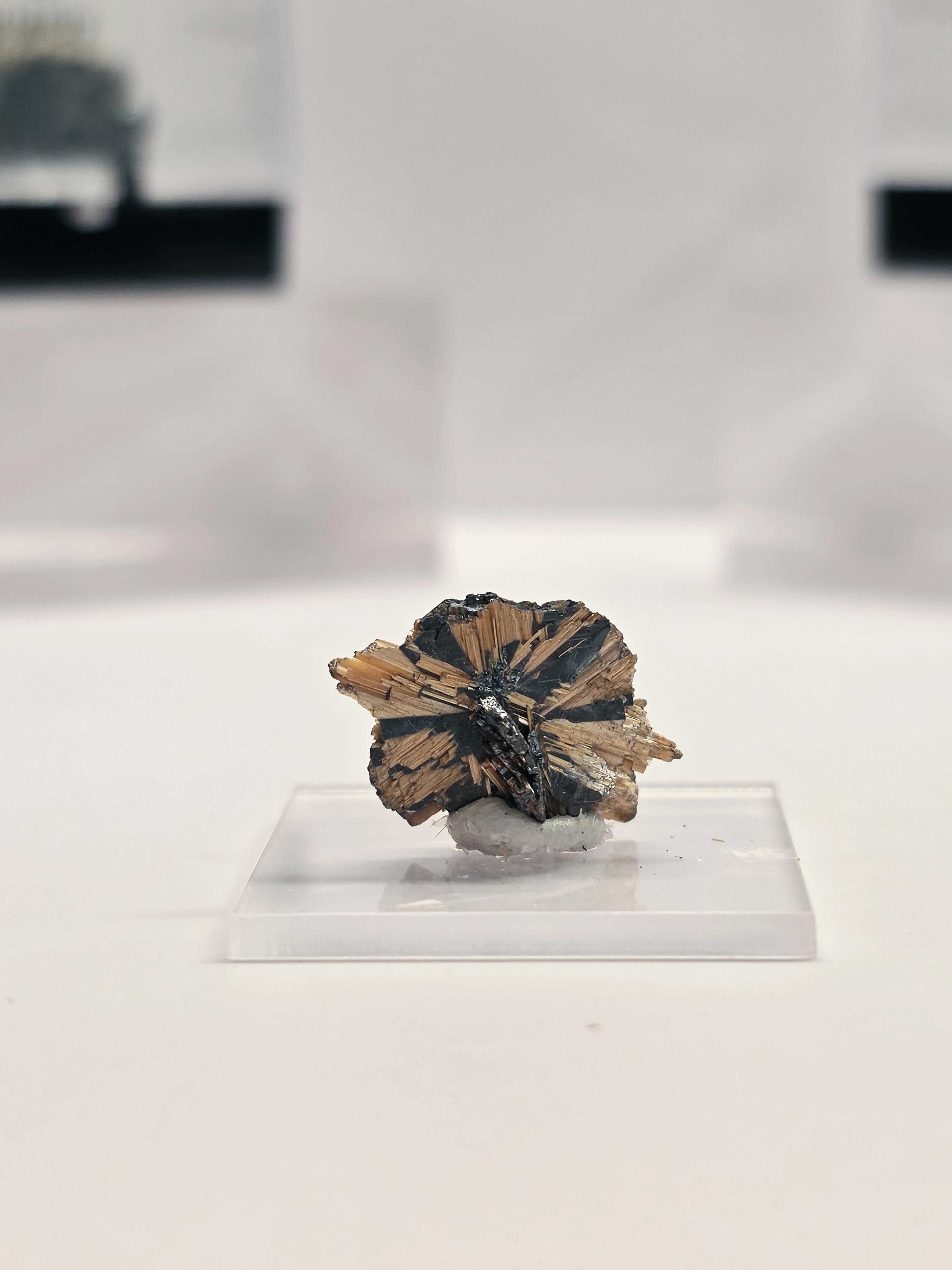 Specimen No. 122