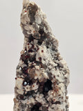 Specimen No. 161