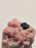 Specimen No. 143
