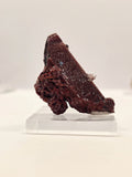 Specimen No. 225