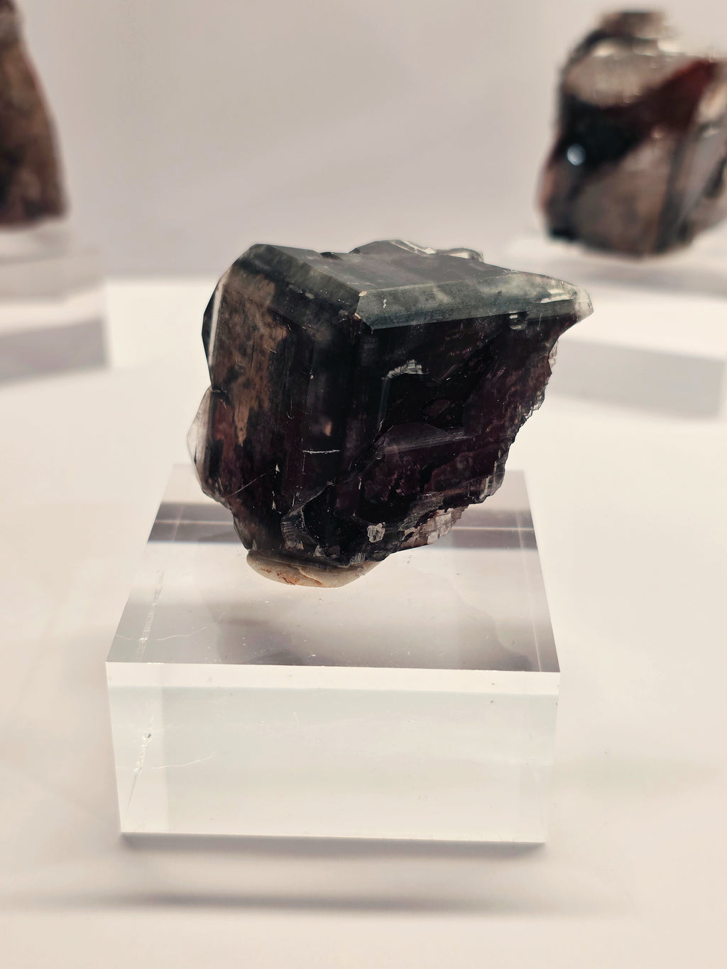Specimen No. 083