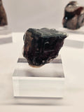 Specimen No. 083