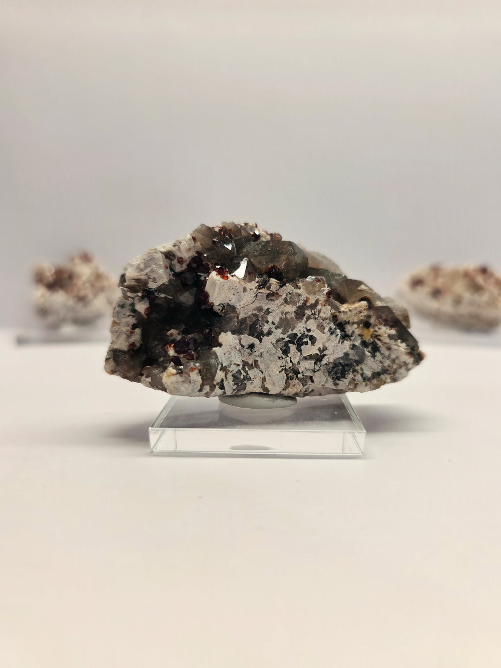 Specimen No. 168