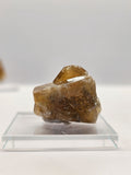 Specimen No. 203