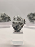 Specimen No. 102