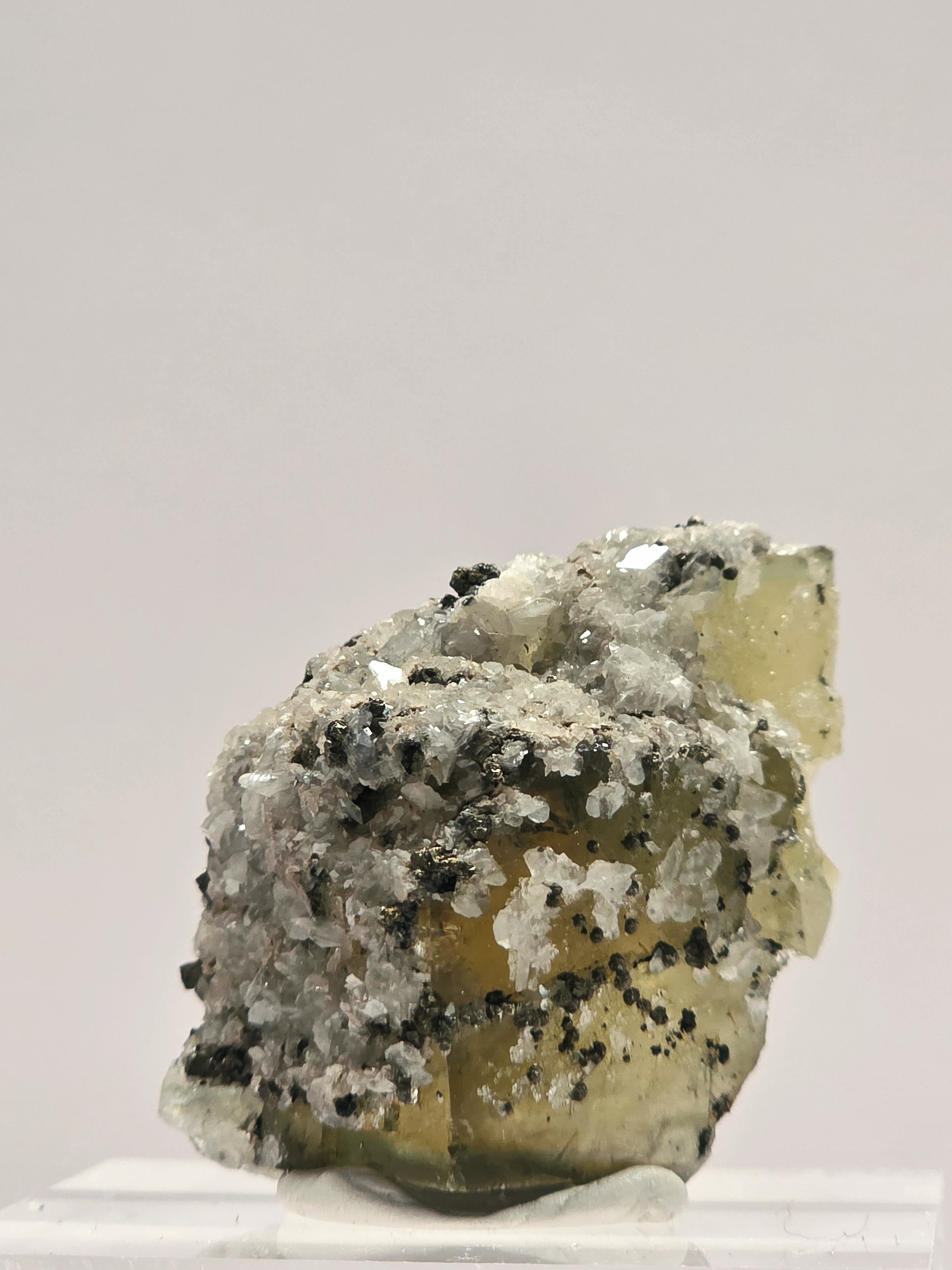 Specimen No. 027