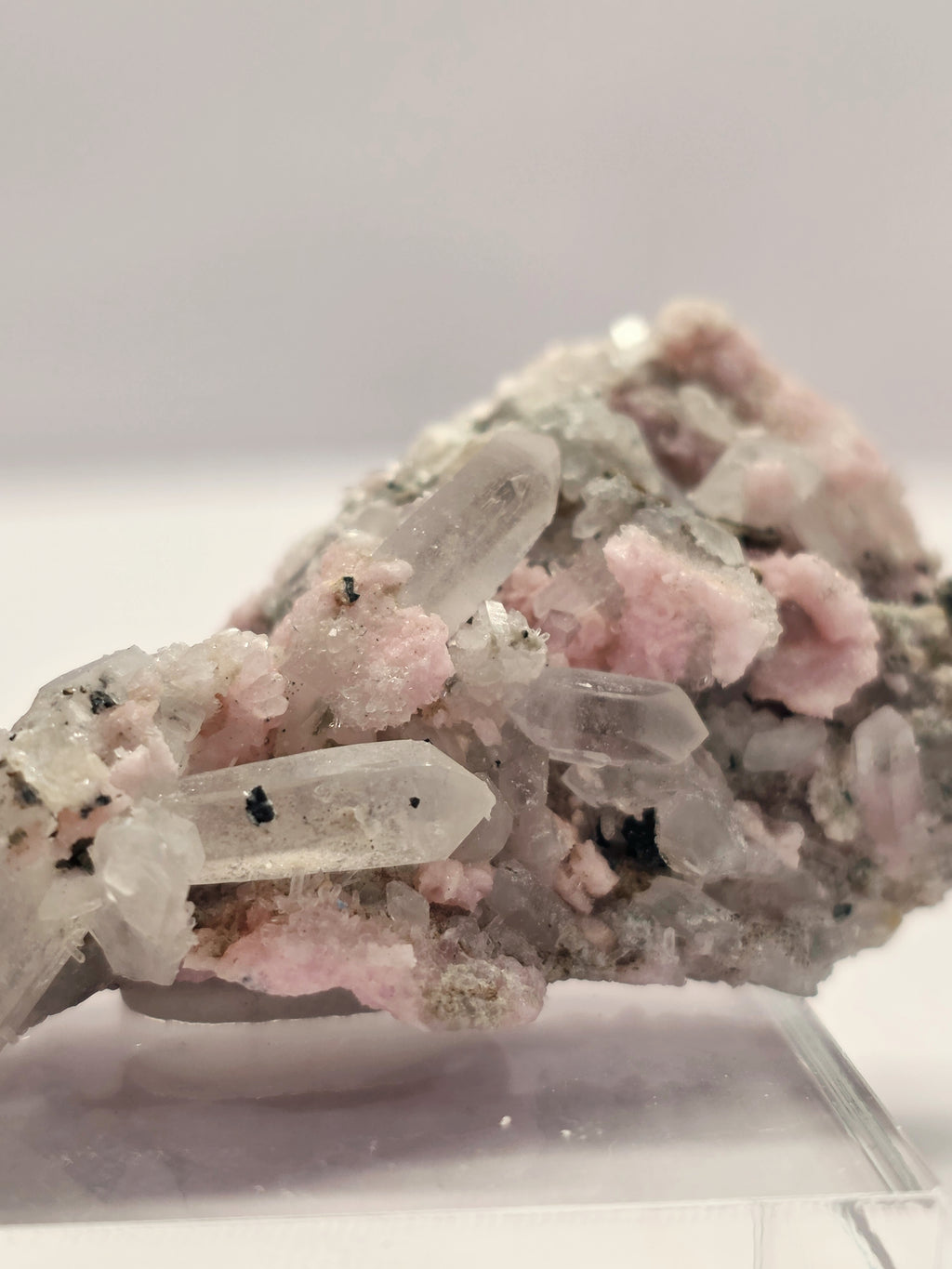 Specimen No. 140
