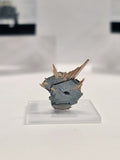 Specimen No. 127