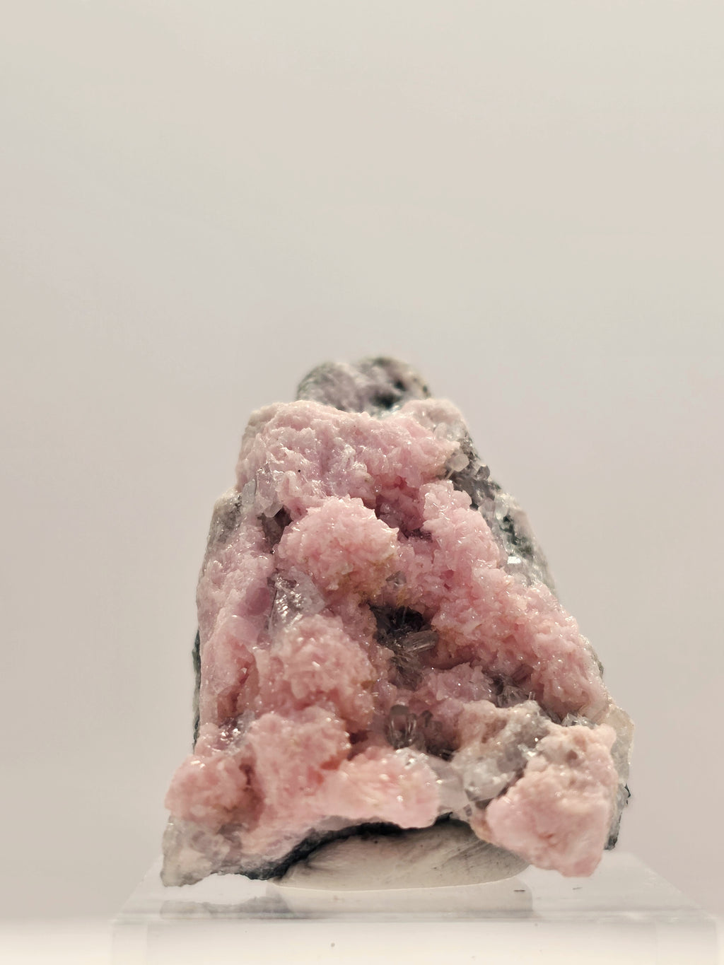 Specimen No. 145