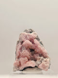 Specimen No. 145