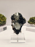 Specimen No. 044